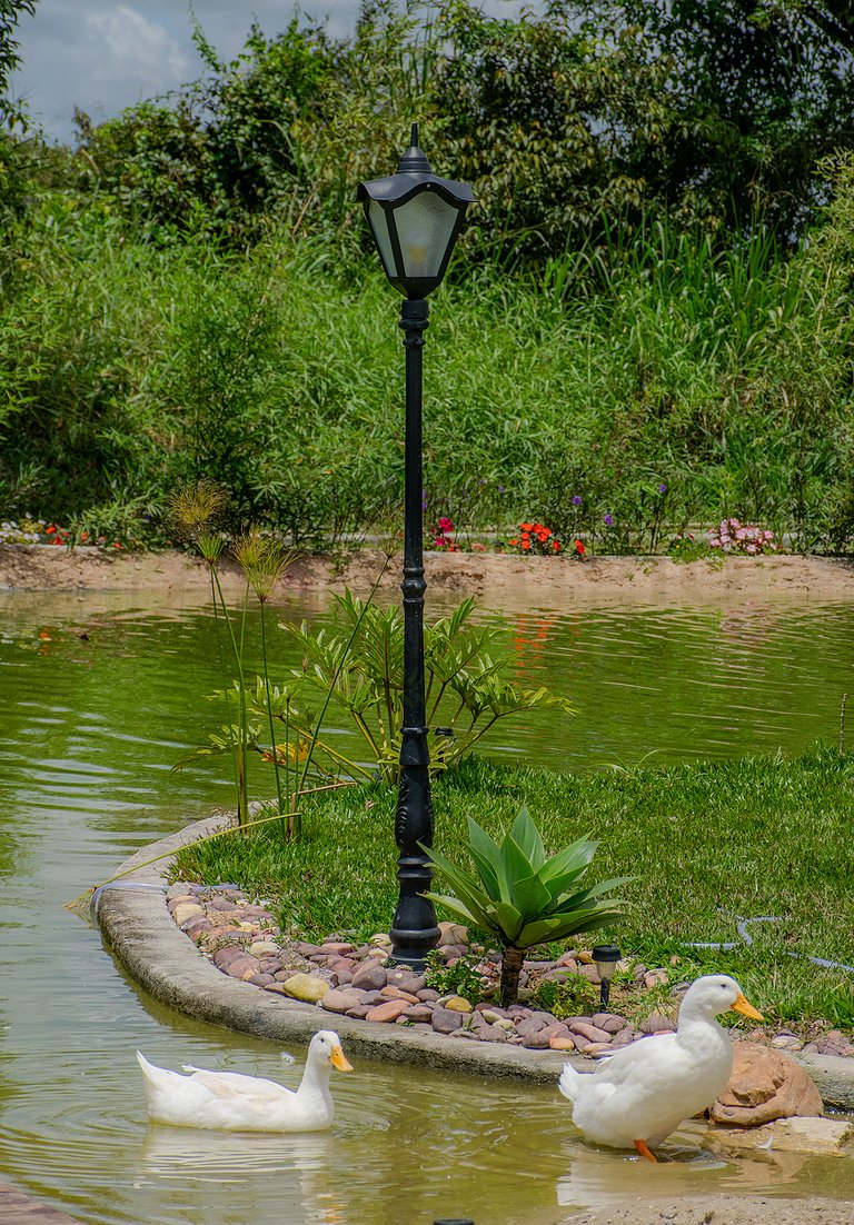 Refúgio dos Lindos - Chalé